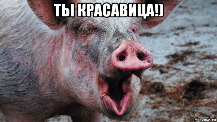 ты красавица!) , Мем Крым наш