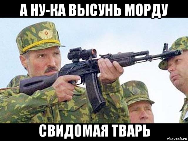 а ну-ка высунь морду свидомая тварь