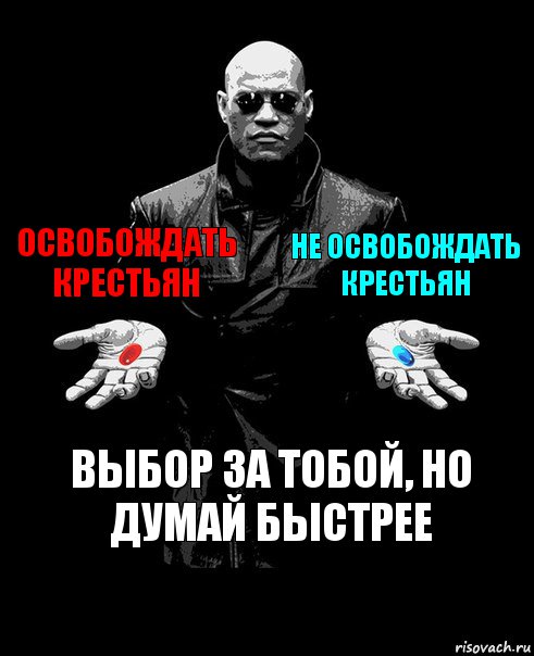 Освобождать крестьян Не освобождать крестьян Выбор за тобой, но думай быстрее