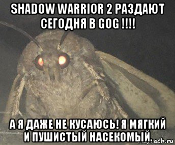 shadow warrior 2 раздают сегодня в gog !!!! а я даже не кусаюсь! я мягкий и пушистый насекомый.