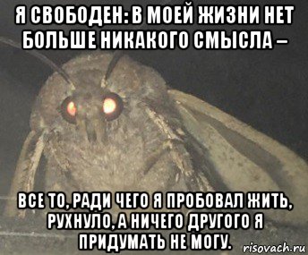 я свободен: в моей жизни нет больше никакого смысла – все то, ради чего я пробовал жить, рухнуло, а ничего другого я придумать не могу., Мем Матылёк