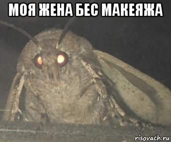 моя жена бес макеяжа , Мем Матылёк