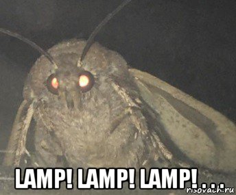  lamp! lamp! lamp! . . .
