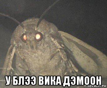  у блээ вика дэмоон, Мем Матылёк