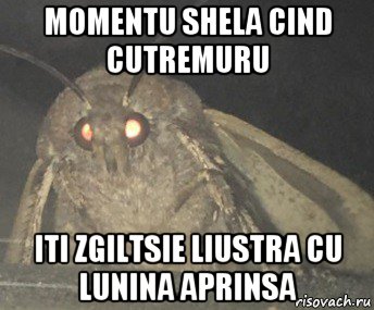 momentu shela cind cutremuru iti zgiltsie liustra cu lunina aprinsa, Мем Матылёк