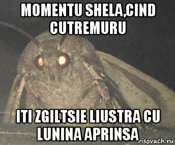 momentu shela,cind cutremuru iti zgiltsie liustra cu lunina aprinsa, Мем Матылёк