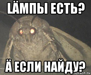 läмпы есть? ä если найду?, Мем Матылёк