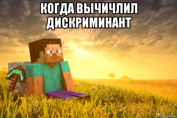 когда вычичлил дискриминант , Мем minecraft