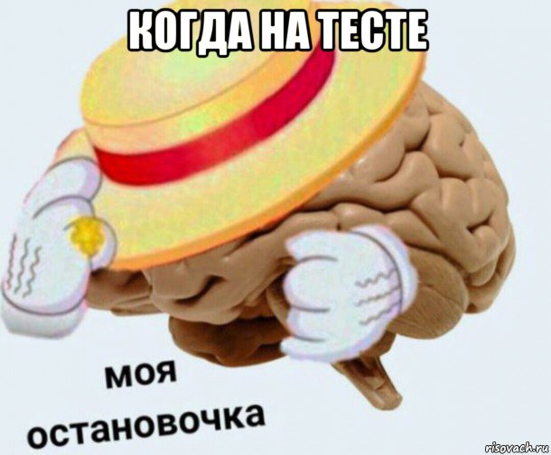 когда на тесте , Мем   Моя остановочка мозг