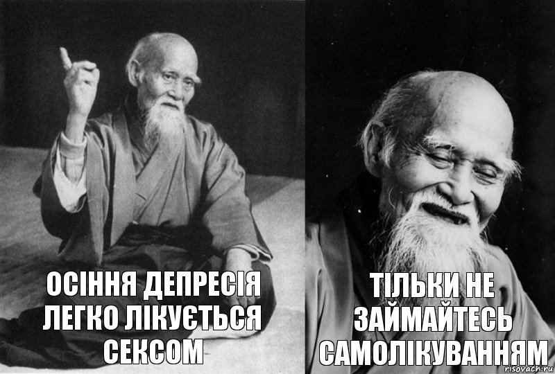 Осіння депресія легко лікується сексом Тільки не займайтесь самолікуванням, Комикс Мудрец-монах (2 зоны)