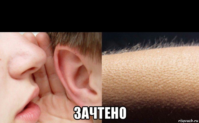  зачтено