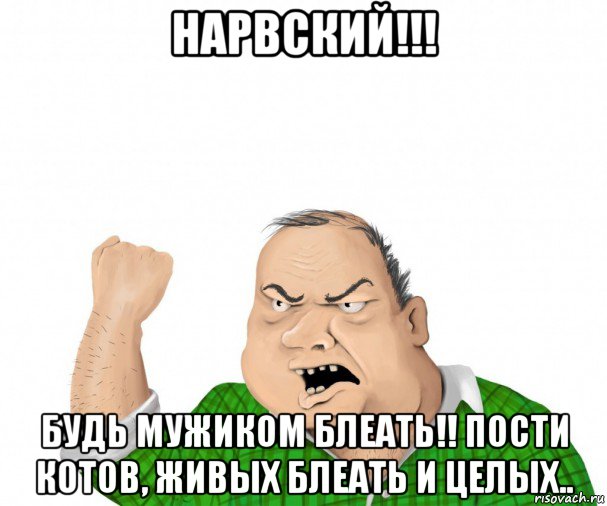 нарвский!!! будь мужиком блеать!! пости котов, живых блеать и целых.., Мем мужик