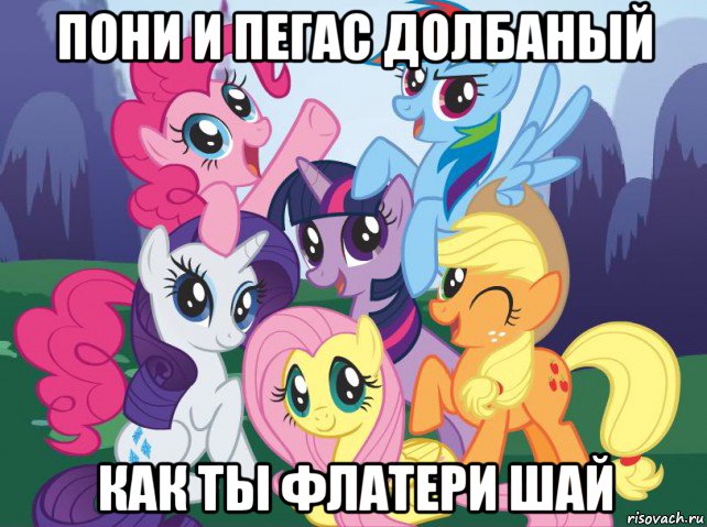 пони и пегас долбаный как ты флатери шай, Мем My little pony