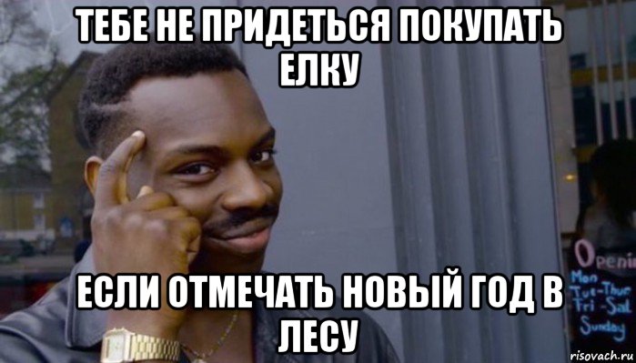 тебе не придеться покупать елку если отмечать новый год в лесу, Мем Не делай не будет