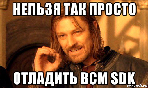 нельзя так просто отладить bcm sdk, Мем Нельзя просто так взять и (Боромир мем)