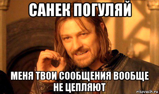 санек погуляй меня твои сообщения вообще не цепляют, Мем Нельзя просто так взять и (Боромир мем)