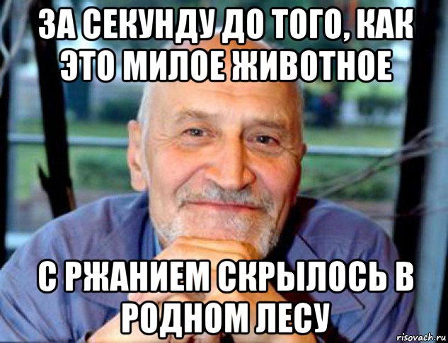 за секунду до того, как это милое животное с ржанием скрылось в родном лесу, Мем Николай Дроздов