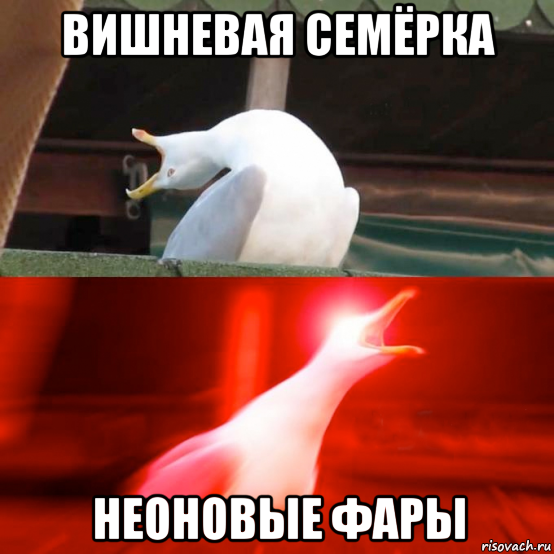 вишневая семёрка неоновые фары