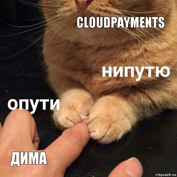 CloudPayments Дима, Комикс Опути нипутю