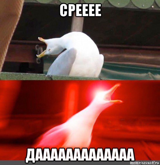 срееее дааааааааааааа