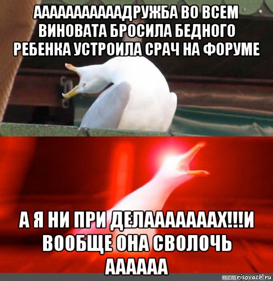 ааааааааааадружба во всем виновата бросила бедного ребенка устроила срач на форуме а я ни при делааааааах!!!и вообще она сволочь аааааа