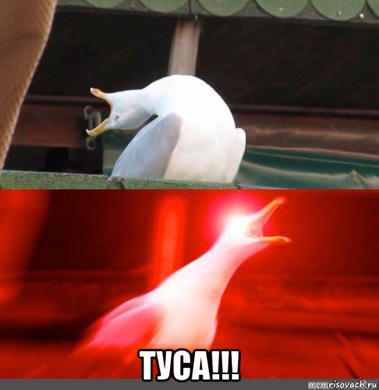  туса!!!