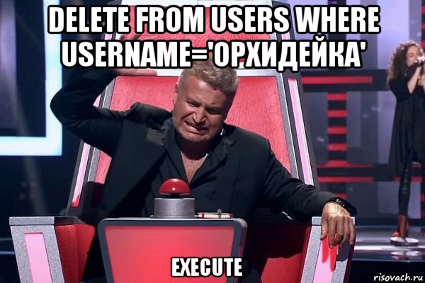 delete from users where username='орхидейка'     ‌  ‎‏execute    ‌‌‍‍‎‏, Мем   Отчаянный Агутин