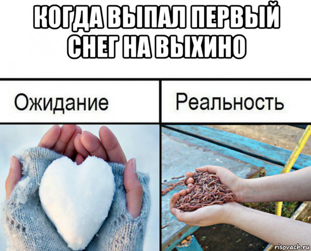 когда выпал первый снег на выхино , Мем Ожидание-реальность