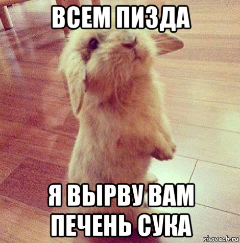 всем пизда я вырву вам печень сука