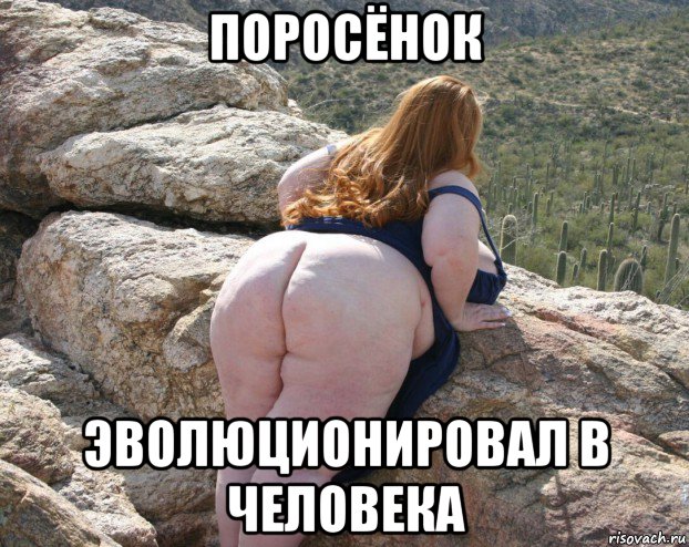 поросёнок эволюционировал в человека, Мем Пердильник