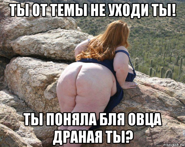 ты от темы не уходи ты! ты поняла бля овца драная ты?