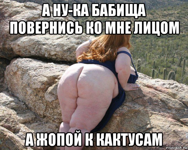 а ну-ка бабища повернись ко мне лицом а жопой к кактусам