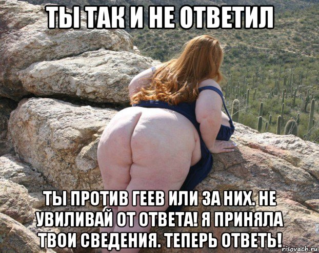 ты так и не ответил ты против геев или за них. не увиливай от ответа! я приняла твои сведения. теперь ответь!, Мем Пердильник
