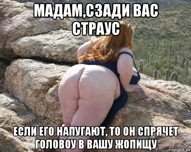 мадам,сзади вас страус если его напугают, то он спрячет головоу в вашу жопищу