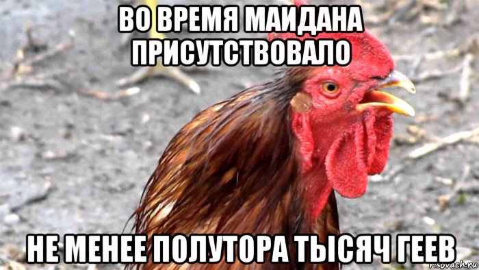 во время маидана присутствовало не менее полутора тысяч геев