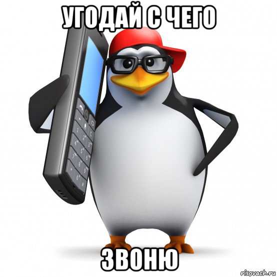 угодай с чего звоню, Мем   Пингвин звонит