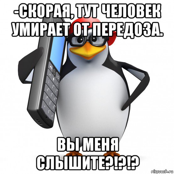 -скорая, тут человек умирает от передоза. вы меня слышите?!?!?, Мем   Пингвин звонит