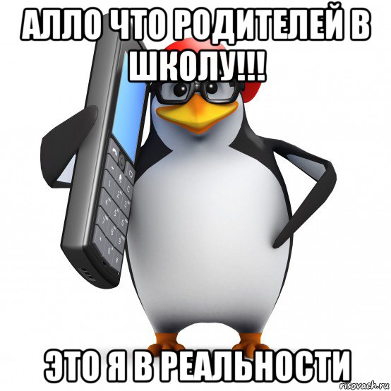 алло что родителей в школу!!! это я в реальности, Мем   Пингвин звонит