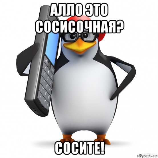 алло это сосисочная? сосите!, Мем   Пингвин звонит