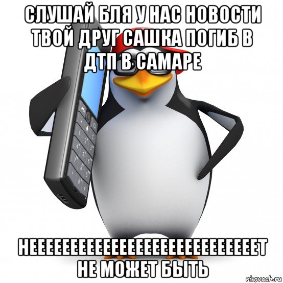 слушай бля у нас новости твой друг сашка погиб в дтп в самаре неееееееееееееееееееееееееееет не может быть, Мем   Пингвин звонит