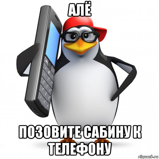 алё позовите сабину к телефону, Мем   Пингвин звонит