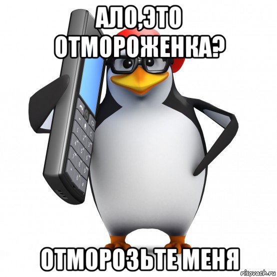 ало,это отмороженка? отморозьте меня, Мем   Пингвин звонит