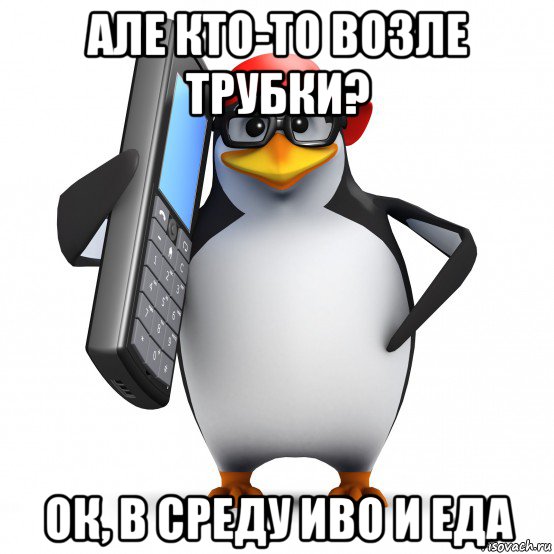 але кто-то возле трубки? ок, в среду иво и еда, Мем   Пингвин звонит