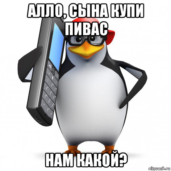 алло, сына купи пивас нам какой?, Мем   Пингвин звонит