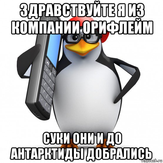 здравствуйте я из компании орифлейм суки они и до антарктиды добрались, Мем   Пингвин звонит