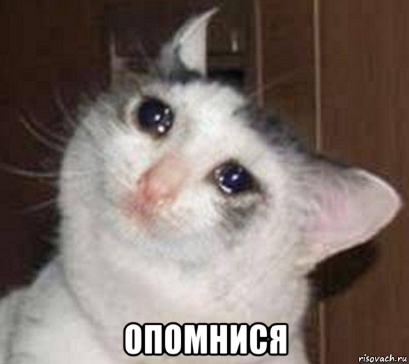  опомнися