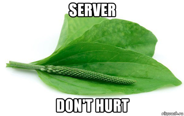 server don't hurt
