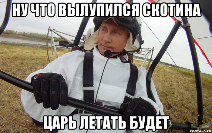 ну что вылупился скотина царь летать будет, Мем Путин