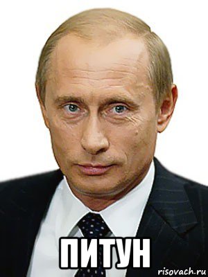  питун, Мем Путин