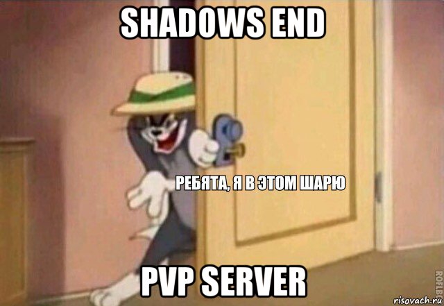 shadows end pvp server, Мем    Ребята я в этом шарю